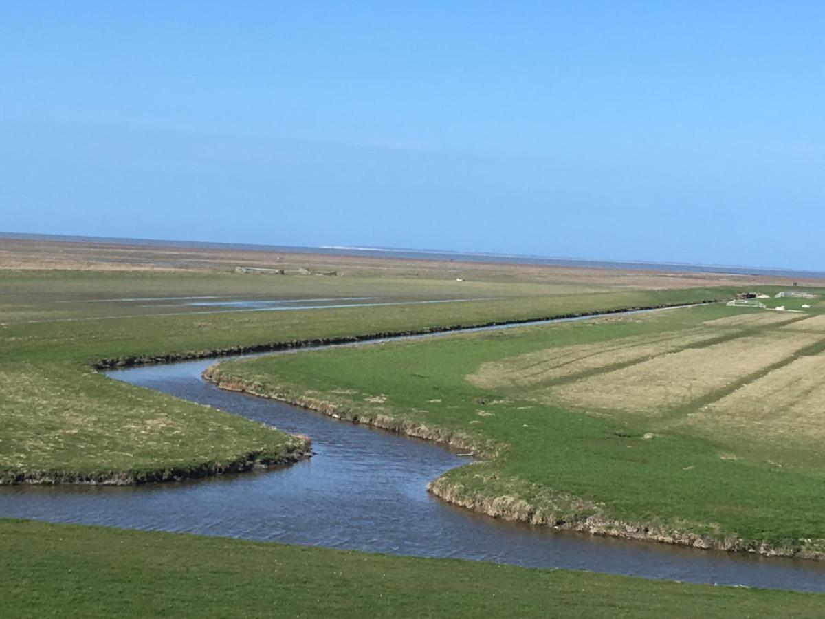 Vakantiehuis 'T Laaisterplakky Zonder Drempels Oude Bildtzijl Экстерьер фото